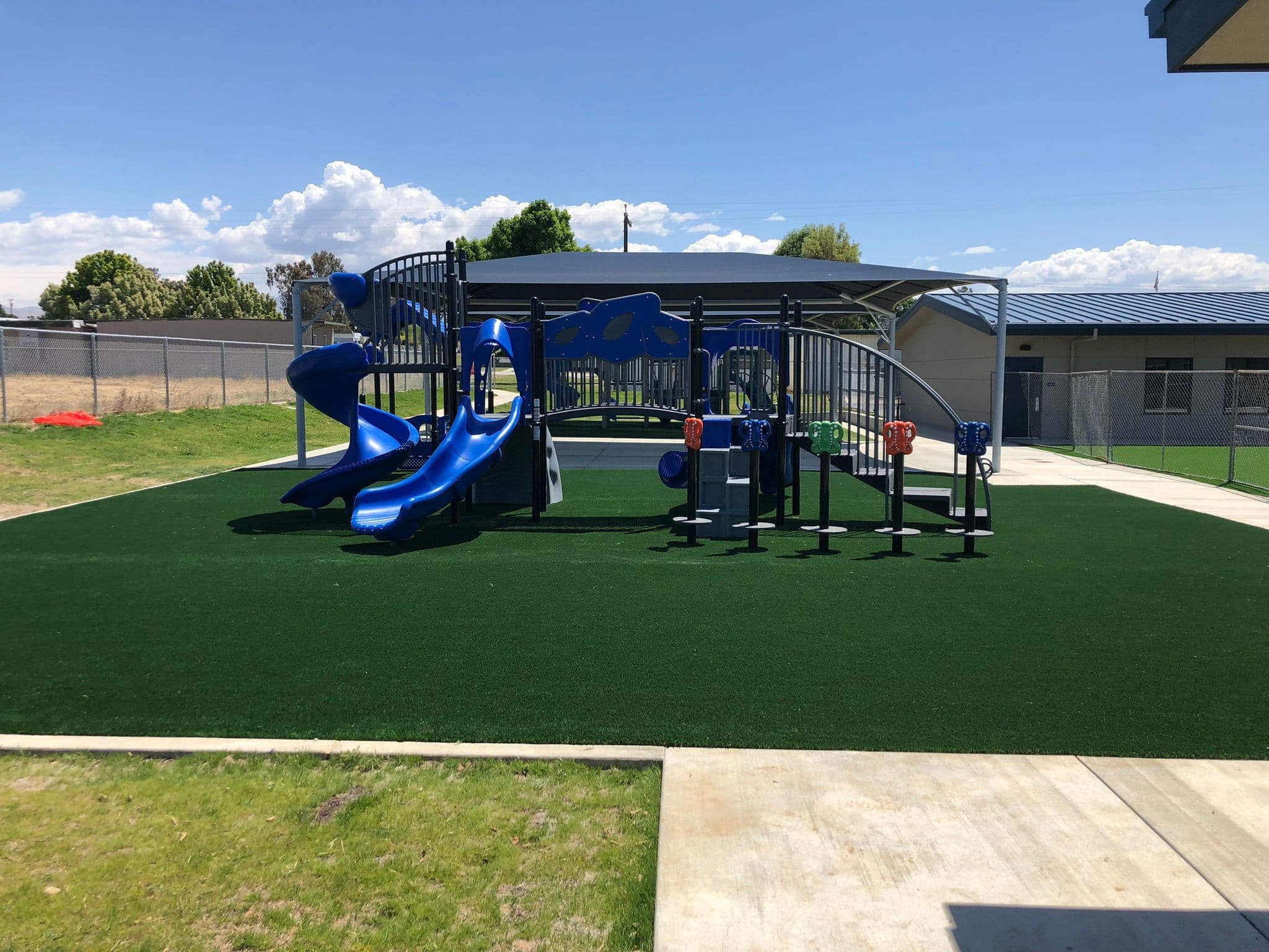 Playground Synthetic Turf